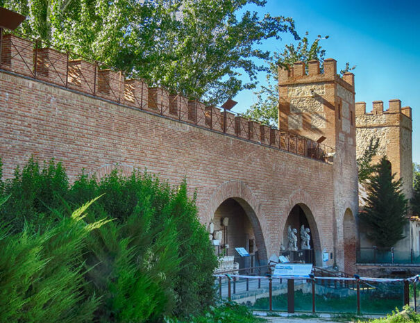 day trip for alcala de henares tour