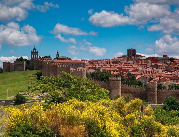 Panoramic view of the medieval wall