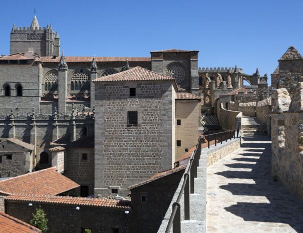 Avila and salamanca tour from madrid with driver