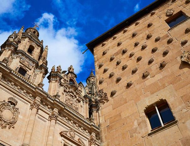 private guide for avila and salamanca tour from madrid