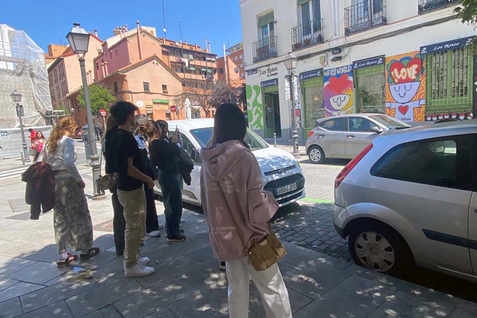 Sightseeing tours in Madrid around Lavapies district
